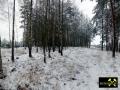 Steinbruch am Finkenberg bei Babben nahe Calau, Brandenburg, (D) (7) 24. Januar 2015 Aufschluß im anstehenden Raseneisenstein.JPG